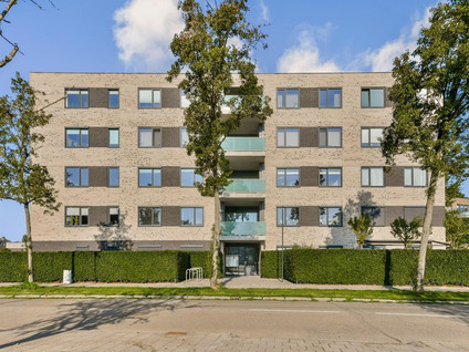 Basiusstraat 37