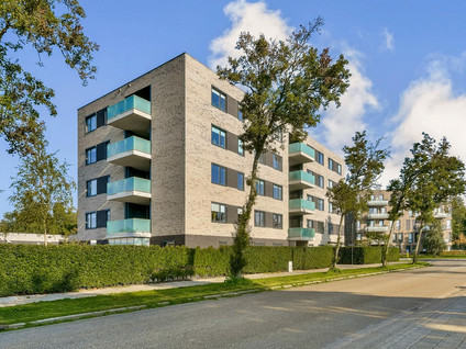 Basiusstraat 37