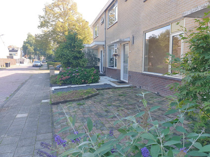 Elzenbaan 8