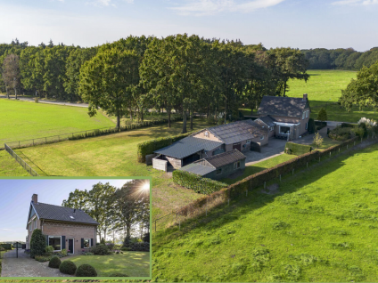 Guldenberg 4