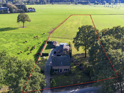 Guldenberg 4