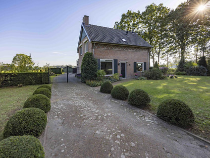 Guldenberg 4