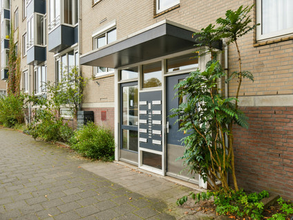 Nieuwevaart 203