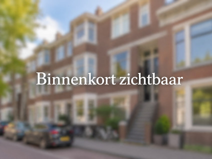 Dorpsstraat in Koggenland