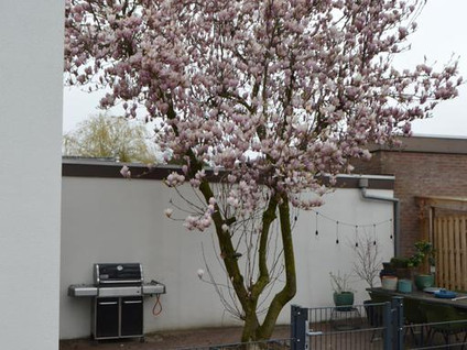 Oude Kleefsebaan 35