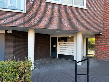 Zuidplashof 49