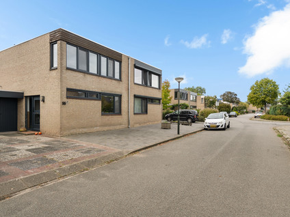 Wolgastraat 55