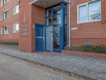 Essehout 130