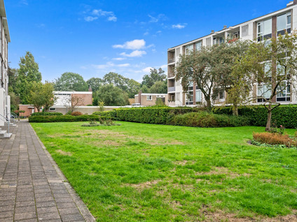 Smaragdhorst 267