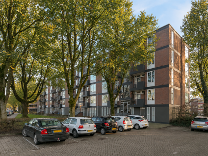 Tobias Asserlaan 272