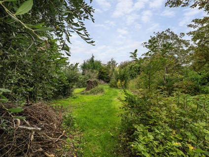 Hogeweg 7
