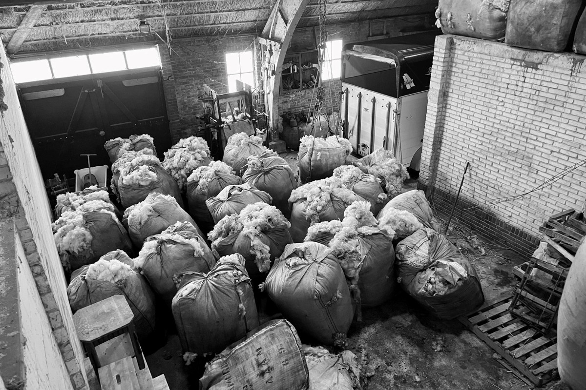 Twee-onder-één-kap te koop: Ongeren 15, Den Burg