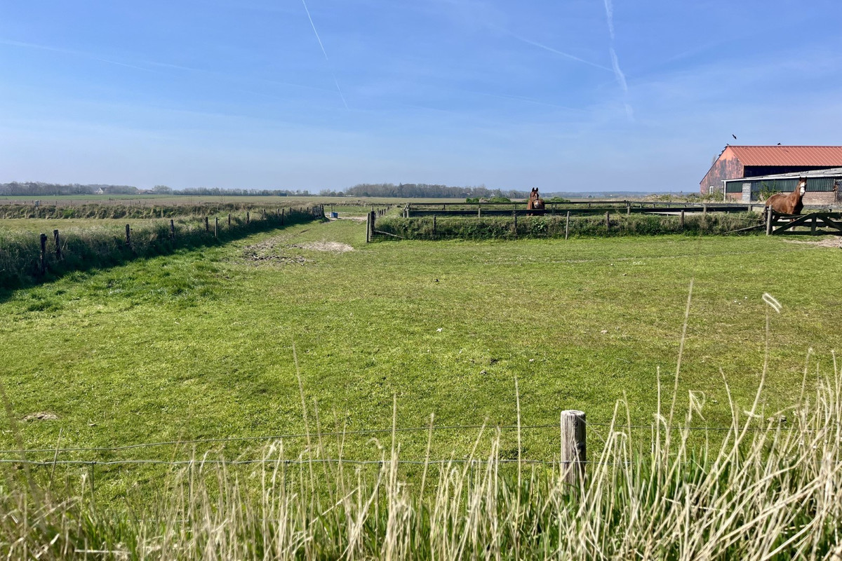 Twee-onder-één-kap te koop: Ongeren 15, Den Burg
