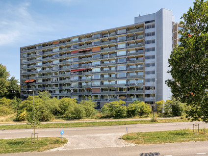 Stadhoudersring 648
