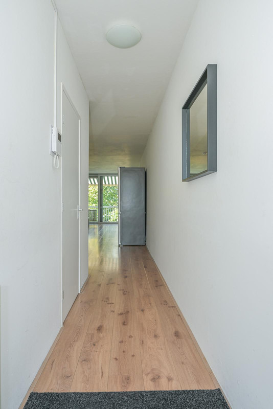 Appartement te koop: Dokter van Kleefstraat 28C, Maastricht