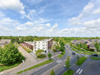 Sleutelbloem 4