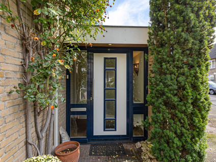Johan de Wittstraat 19