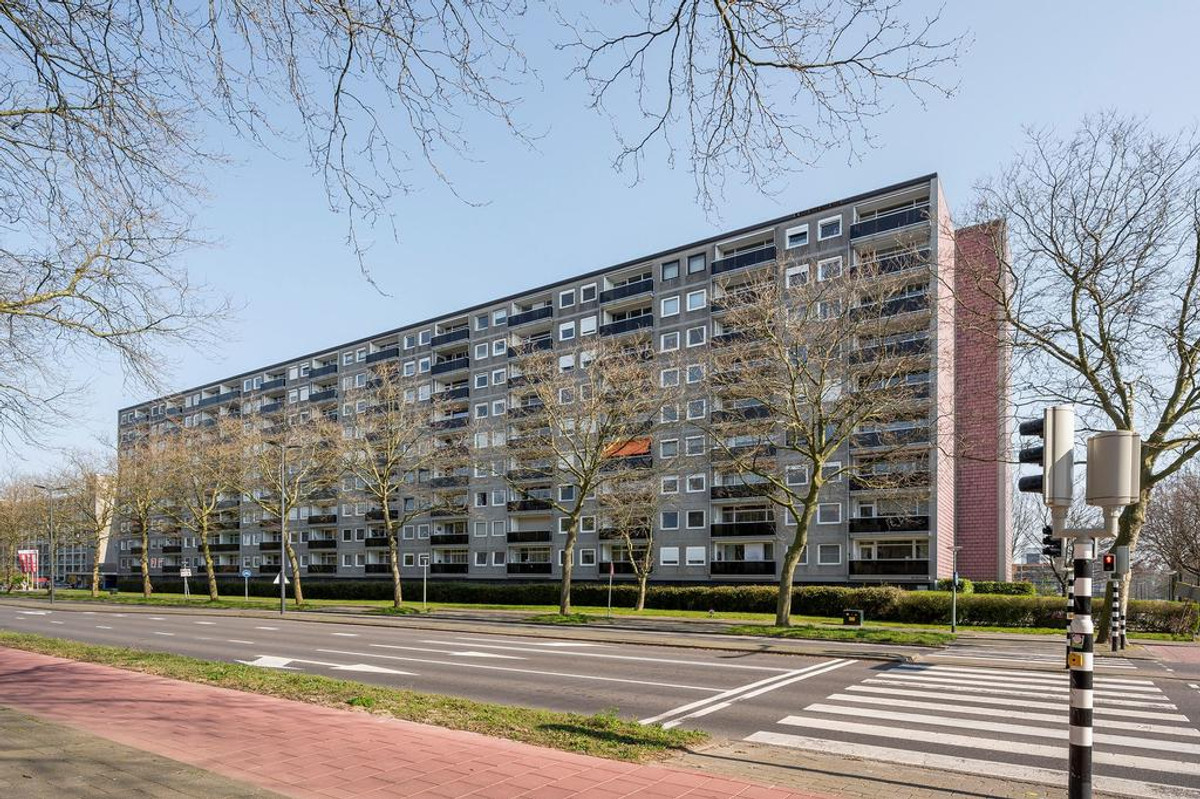 Lepelaarsingel 204 3136PD Vlaardingen, Vlaardingen