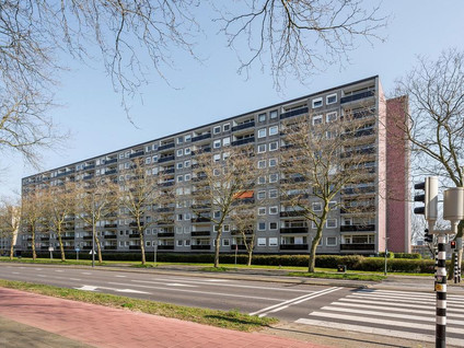Lepelaarsingel 204