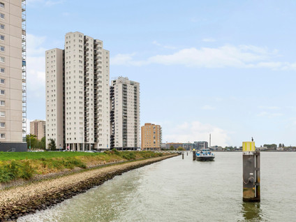 Buitenbassinweg 420