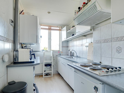 F.C. Dondersstraat 20