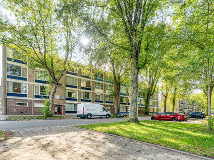 Schoonegge 98