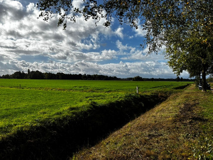 Kleine Braakweg - Loenen