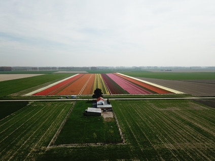 Herenweg Noord 5