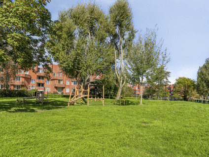 Woldberg 134