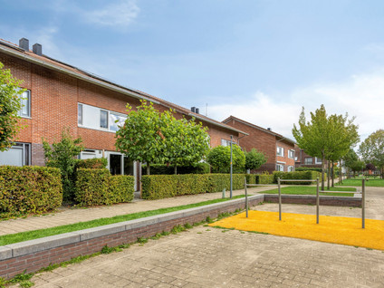 Essenburgh 12