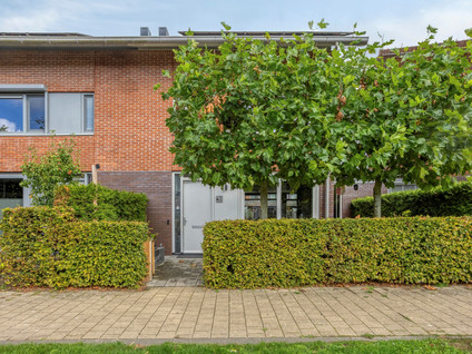 Essenburgh 12