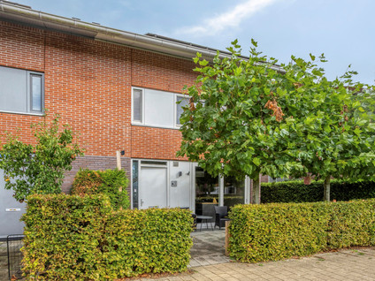 Essenburgh 12