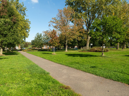Pieter Maasstraat 3