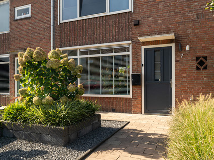 Pieter Maasstraat 7