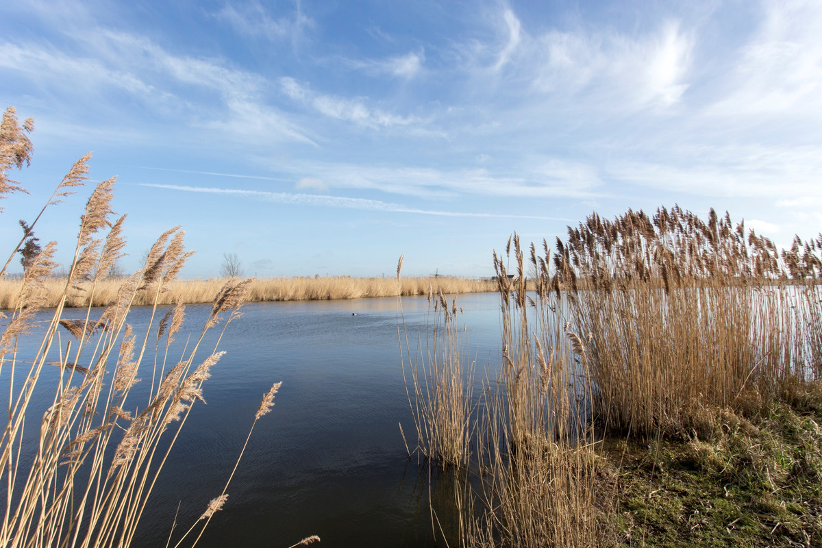 Tussenwoning te koop: Sterrenlaan 112, Bleiswijk