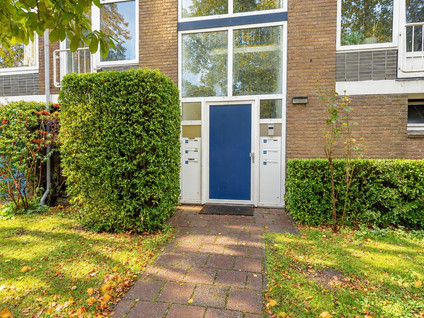 Asserstraat 40