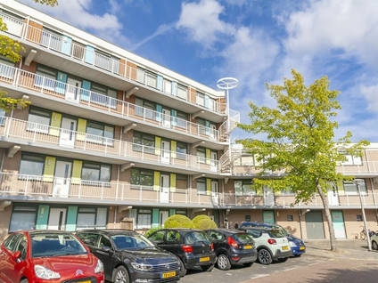huurwoningen te huur op Zeelandiahoeve 229