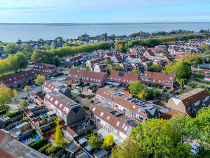 de Windhond 9