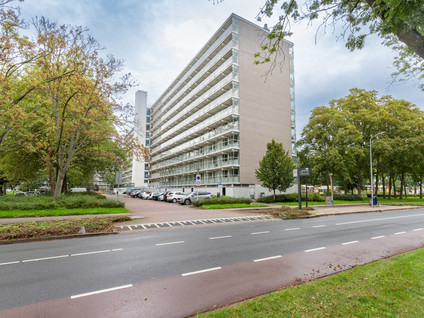 Brusselflat 68