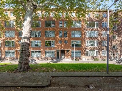 Mijnsherenlaan 155C
