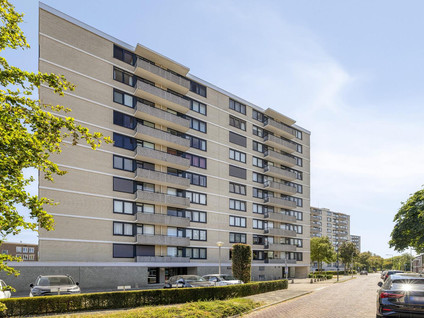 Grote Spie 119