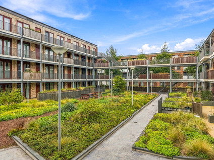 Suze Robertsonstraat 75
