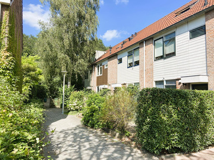 Marketentster 40 Amstelveen