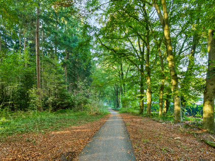 Zonneoordlaan 63
