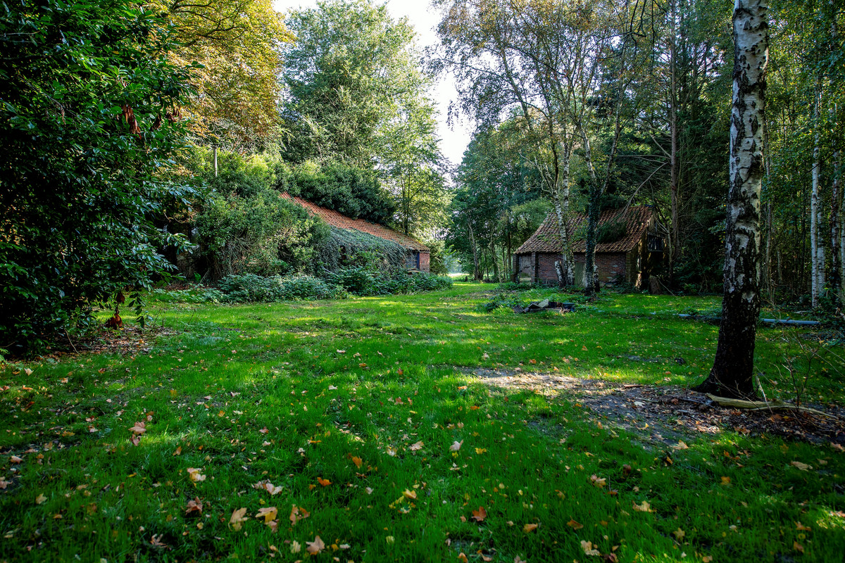 Woning te koop: 2E Dalweg 10, Vriescheloo