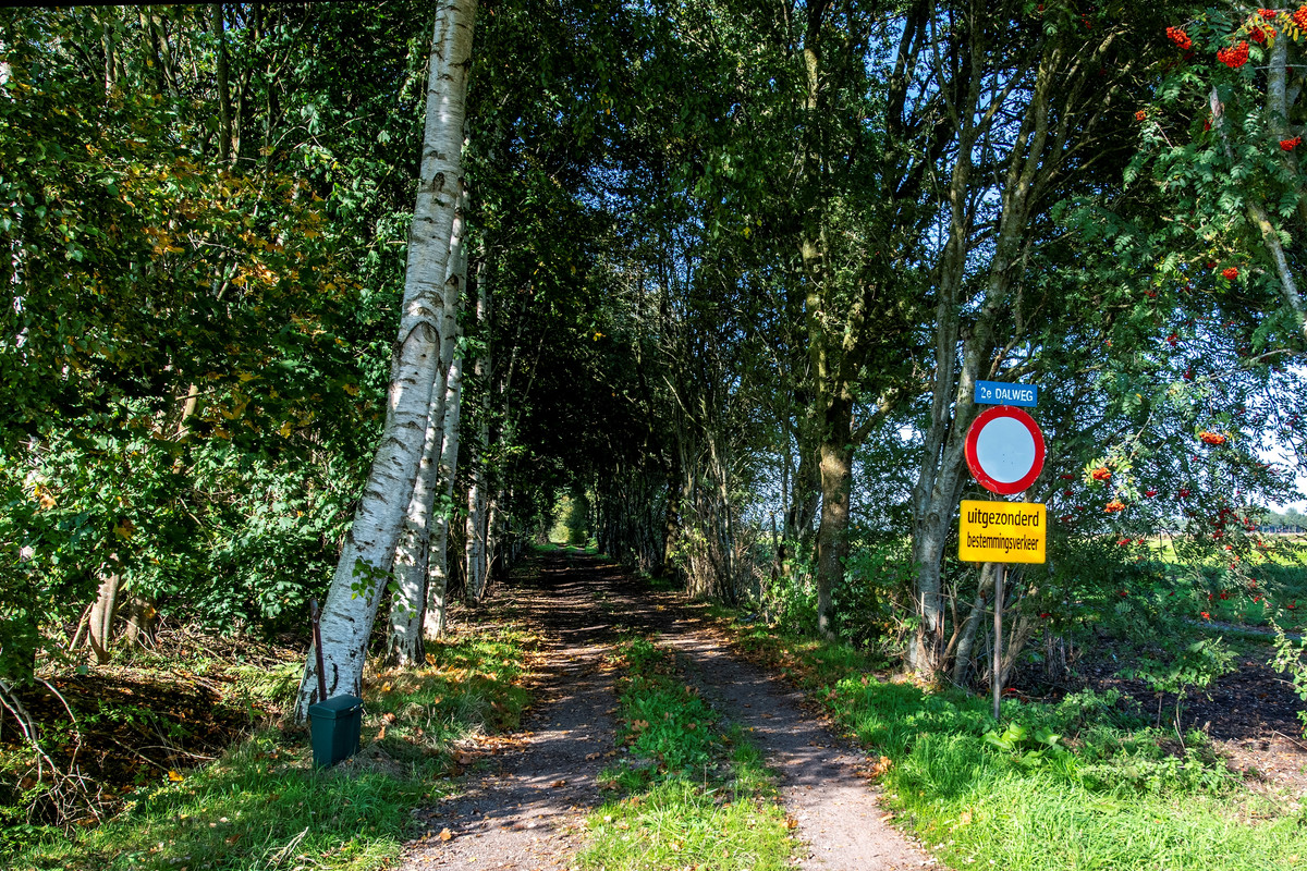 Woning te koop: 2E Dalweg 10, Vriescheloo