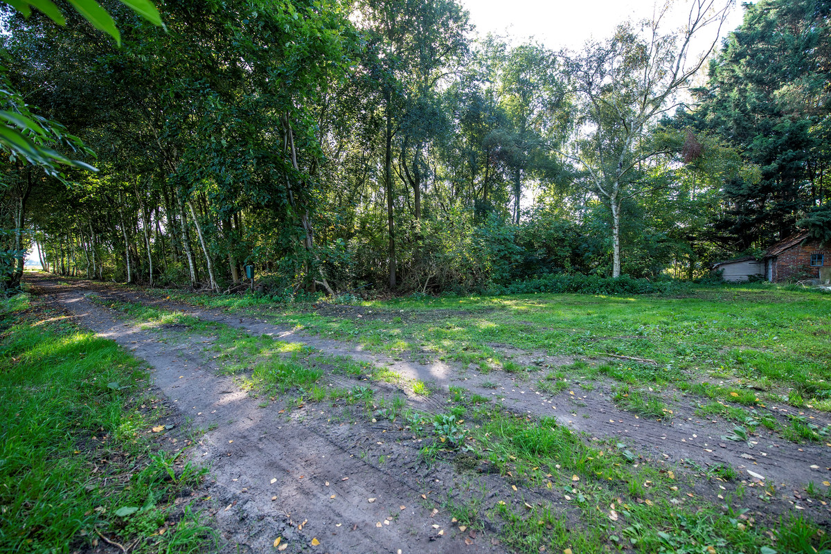 Woning te koop: 2E Dalweg 10, Vriescheloo