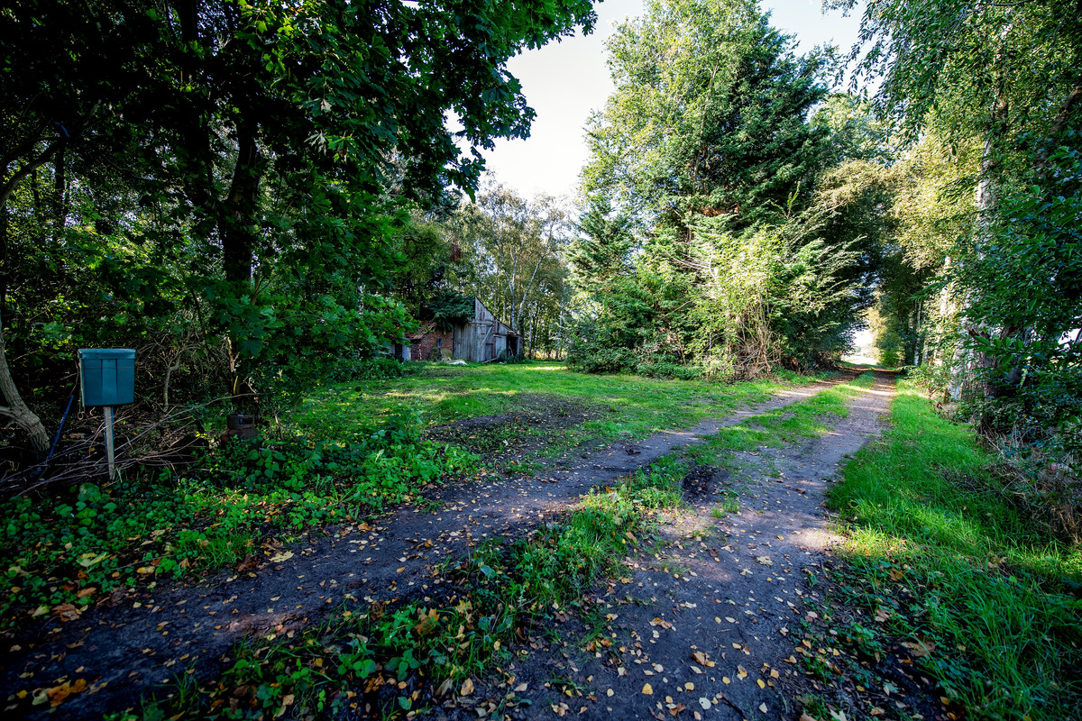 Woning te koop: 2E Dalweg 10, Vriescheloo