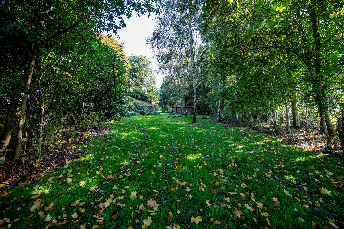 Woning te koop: 2E Dalweg 10, Vriescheloo