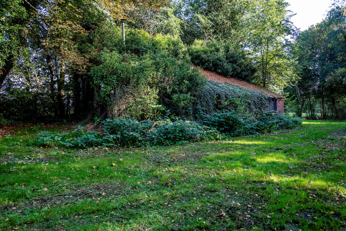 Woning te koop: 2E Dalweg 10, Vriescheloo
